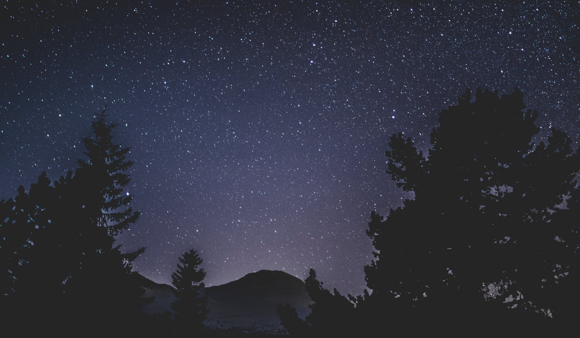 starry night sky and silhouette of trees and mountain